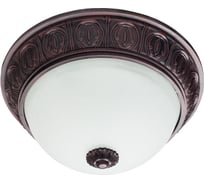 Потолочный светильник Arte Lamp A8007PL-2CK