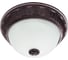 Потолочный светильник Arte Lamp A8007PL-2CK 1