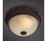 Потолочный светильник Arte Lamp A8007PL-2CK 3