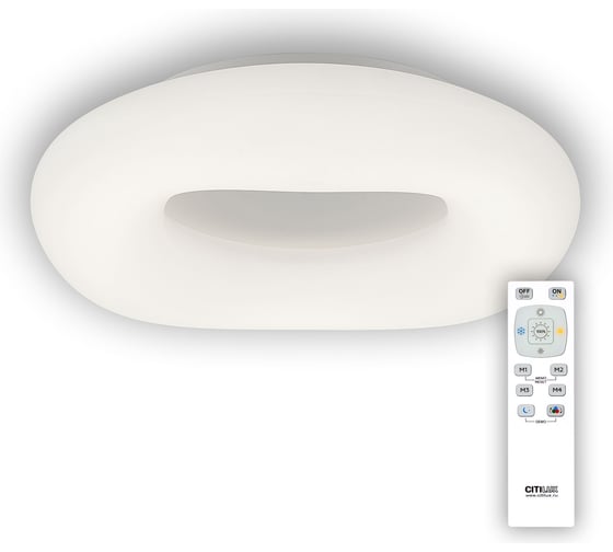 Потолочная люстра Citilux Стратус CL732520RGB 1
