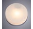 Потолочный светильник Arte Lamp A6047PL-1CC 2