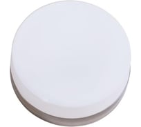 Потолочный светильник Arte Lamp A6047PL-2AB