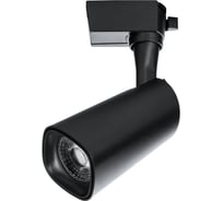 Потолочный светильник Arte Lamp A4562PL-1BK