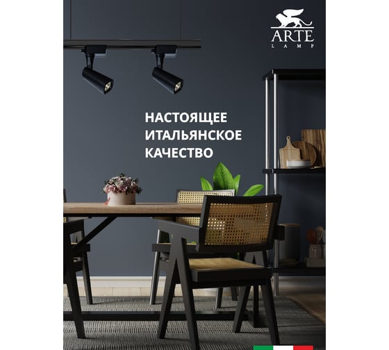 Потолочный светильник Arte Lamp A4561PL-1BK