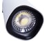 Потолочный светильник Arte Lamp A4563PL-1WH 3