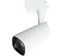 Потолочный светильник Arte Lamp A4562PL-1WH