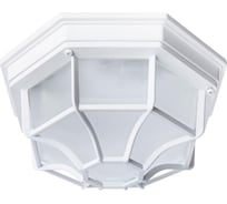 Потолочный светильник Arte Lamp A3100PL-1WH