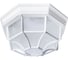 Потолочный светильник Arte Lamp A3100PL-1WH 1