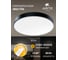 Потолочный светильник Arte Lamp A2673PL-1BK 4