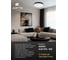 Потолочный светильник Arte Lamp A2673PL-1BK 5