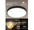 Потолочный светильник Arte Lamp A2672PL-1BK 4