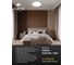 Потолочный светильник Arte Lamp ARENA A2670PL-1WH 5