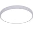Потолочный светильник Arte Lamp ARENA A2670PL-1WH 1