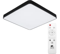 Потолочный светильник Arte Lamp A2669PL-1BK