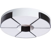 Потолочный светильник Arte Lamp A8083PL-6WH