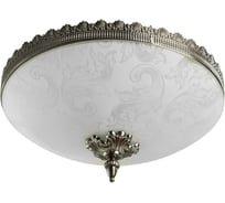 Потолочный светильник Arte Lamp A4541PL-3AB
