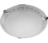 Потолочный светильник Arte Lamp A4220PL-2CC