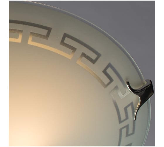 Потолочный светильник Arte Lamp A4220PL-2CC