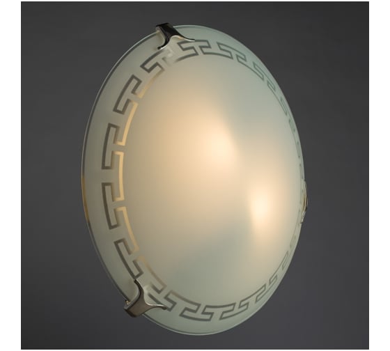 Потолочный светильник Arte Lamp A4220PL-2CC