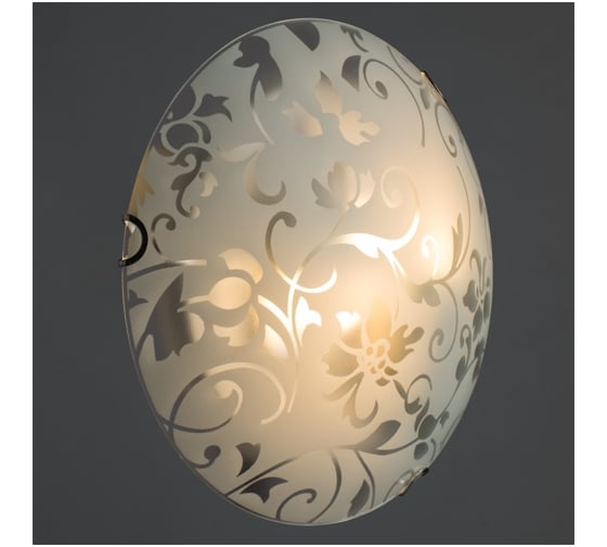 Потолочный светильник Arte Lamp A4120PL-2CC