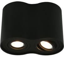 Потолочный светильник Arte Lamp A5644PL-2BK