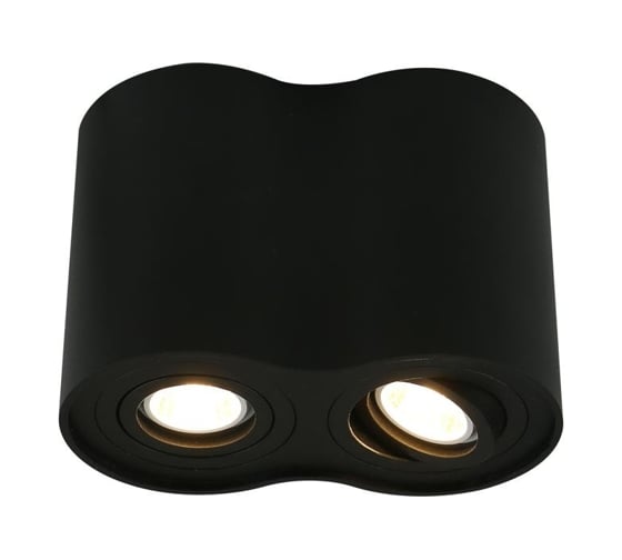 Потолочный светильник Arte Lamp A5644PL-2BK