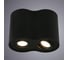 Потолочный светильник Arte Lamp A5644PL-2BK 3