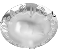 Потолочный светильник Arte Lamp A4020PL-1CC