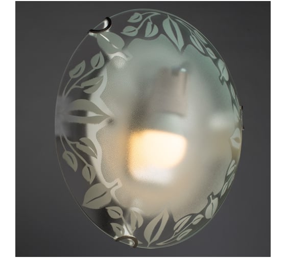 Потолочный светильник Arte Lamp A4020PL-1CC