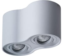 Потолочный светильник Arte Lamp A5645PL-2GY
