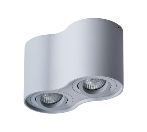 Потолочный светильник Arte Lamp A5645PL-2GY 1