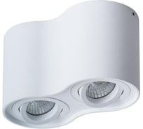 Потолочный светильник Arte Lamp A5645PL-2WH