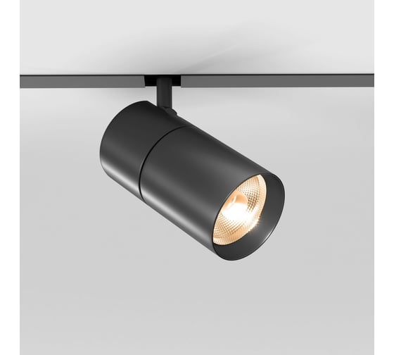 Трековый светильник Elektrostandard Slim Magnetic R02 12W 3000K (черный) a067379 1