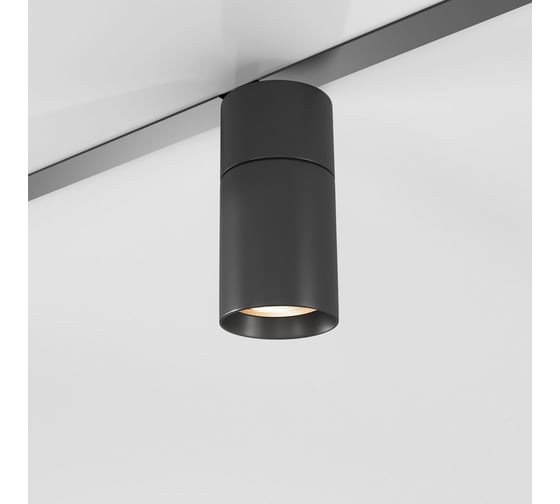 Трековый светильник Elektrostandard Slim Magnetic R02 12W 3000K (черный) a067379