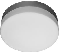 Потолочный светильник Arte Lamp A3211PL-2SI