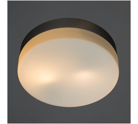 Потолочный светильник Arte Lamp A3211PL-2SI