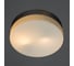 Потолочный светильник Arte Lamp A3211PL-2SI 2