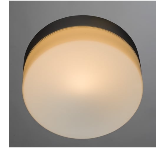 Потолочный светильник Arte Lamp A3211PL-1SI
