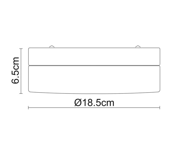 Потолочный светильник Arte Lamp A3211PL-1SI
