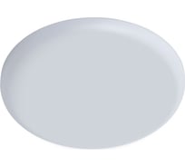 Потолочный светильник Arte Lamp A7983PL-1WH