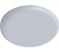 Потолочный светильник Arte Lamp A7981PL-1WH