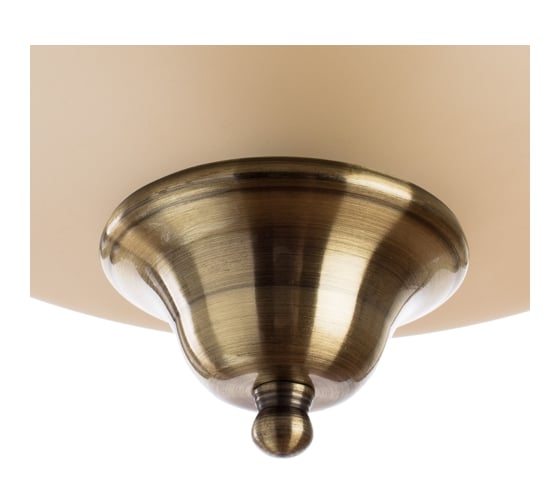 Потолочный светильник Arte Lamp A6905PL-2AB