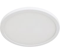 Потолочный светильник Arte Lamp A7976PL-1WH