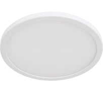 Потолочный светильник Arte Lamp A7973PL-1WH