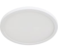 Потолочный светильник Arte Lamp A7975PL-1WH