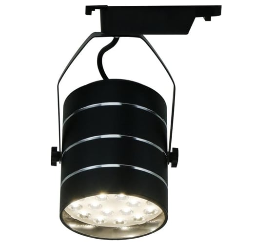 Потолочный светильник Arte Lamp A2718PL-1BK 1