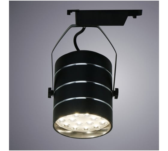 Потолочный светильник Arte Lamp A2718PL-1BK