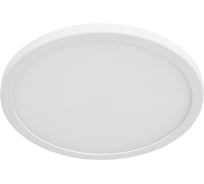 Потолочный светильник Arte Lamp A7971PL-1WH