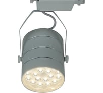 Потолочный светильник Arte Lamp A2718PL-1WH