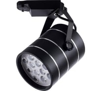 Потолочный светильник Arte Lamp A2712PL-1BK